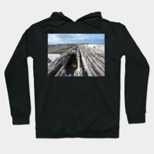 Tenacious Life Hoodie